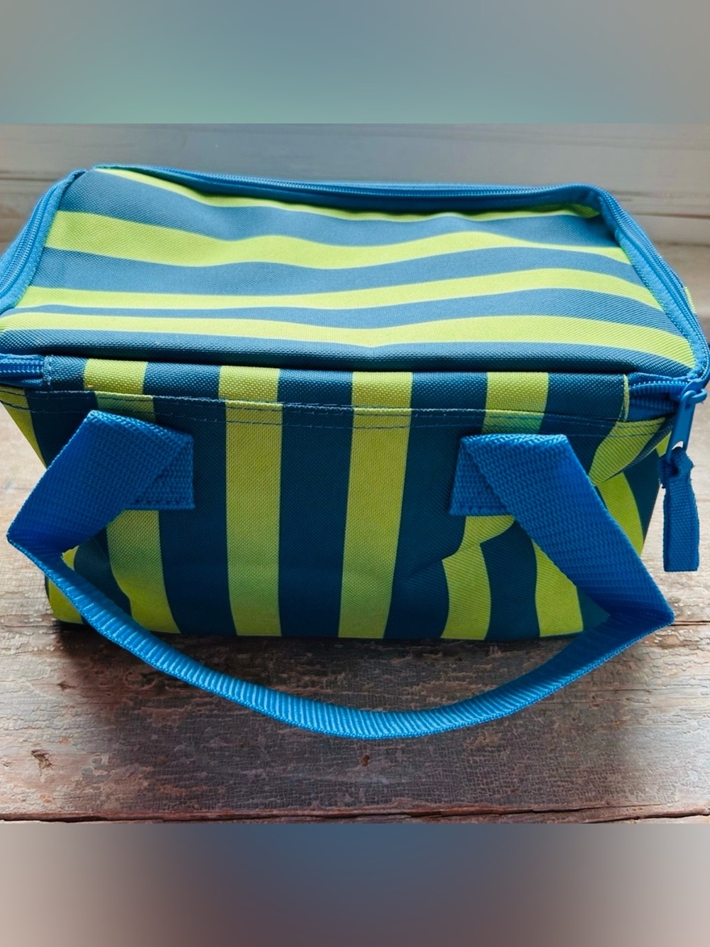 Trader Joe’s Striped Blue & Lime Green Insulated Lunch Bag